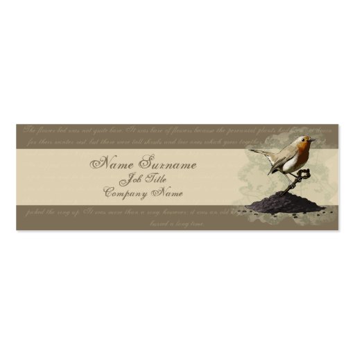 Mr. Robin Finds the Key, business card template (front side)