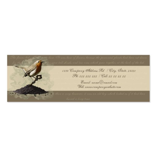 Mr. Robin Finds the Key, business card template (back side)