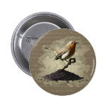 Mr. Robin Finds the Key, button