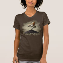 Mr. Robin Finds the Key, dark shirts