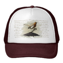 Mr. Robin Finds the Key, hat