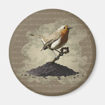 Mr. Robin Finds the Key, round magnet