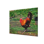 "Mr Rooster's Waltz" Oil Painting Wrapped Canvas Stretched Canvas Prints