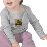MR. SAMUEL WHISKERS, AFTER BEATRIX POTTER t-shirts