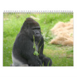 Mr Silverback calendars
