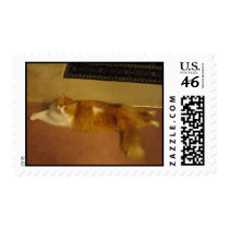 Mr Stretch postage by SHASHASHU Mr Stretch postage