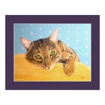 Mr. Tabby Cat posters
