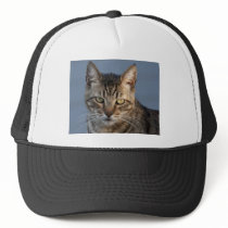 Mr. Trouble Maker Hats