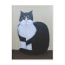 Mr Whiskers ~ postcard