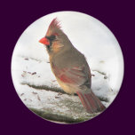 Mrs.Cardinal Magnet