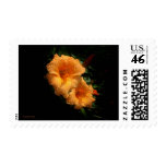 Mrs. Cathey's Lillies postage