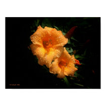 Mrs. Cathey's Lillies posters