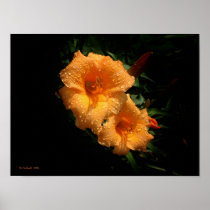 Mrs. Cathey's Lillies Print