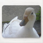 Mrs Duck mousepads