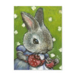 Mrs Rabbit making tea Postcard
