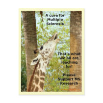 MS Awareness Postcard
