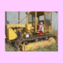 Ms Ella checks out farm equipment Postcard