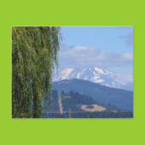Mt Adams Postcard postcards