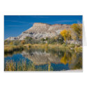 Mt. and pond cards
