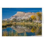 Mt. and pond cards