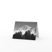 Mt. Baker Through Trees Greeting Cards