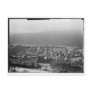 Mt. Carmel, Haifa, ca. 1922 Post Cards
