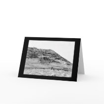 Mt. Carmel Palestine, and Camera Man 1902 cards
