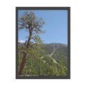 Mt Charleston Postcard by sumiko Mt Charleston Postcard