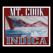 MT COOK INDICA posters