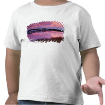 Mt. Denali at sunset from Reflection Pond Tshirt