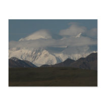 Mt Denali Postcards
