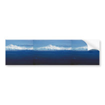 Mt. Drum Wrangell St. Elias Bumper Stickers