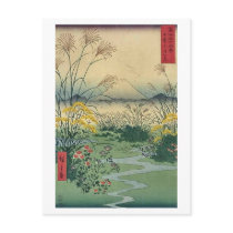 Mt Fuji 31 Post Cards