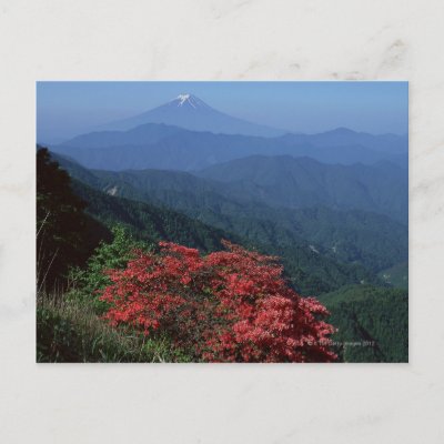 mt fuji postcard