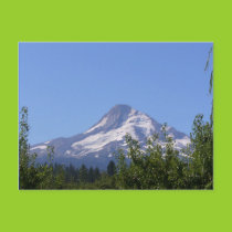 Mt Hood, Oregon on an August day postcard postcards