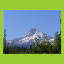 Mt Hood, Oregon on an August day postcard postcards
