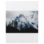 MT. Jeff flyers