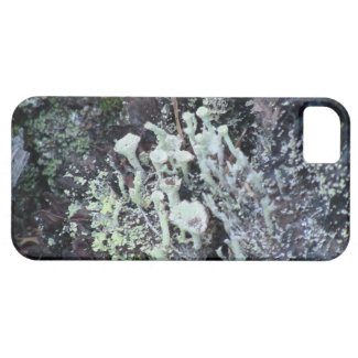 Mt Jefferson Oregon Flora Fungi Moss Botany Lichen iPhone 5 Cover