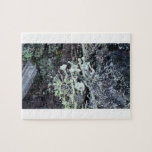 Mt Jefferson Oregon Flora Fungi Moss Botany Lichen Puzzles