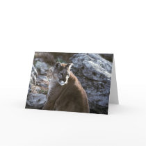Mt Lion note card