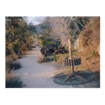 Mt Lowe Path Post Cards