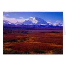 Mt. McKinley Card