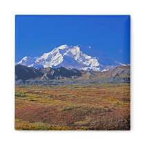Mt . McKinley Denali National Park , Alaska. Fridge Magnet