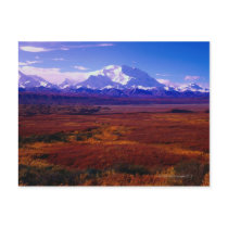 Mt. McKinley Post Card