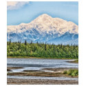 Mt McKinley t-shirts