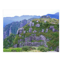 Mt. Nagata, Yakushima, Kagoshima, Japan Post Cards