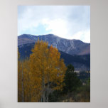 Mt Ouray Print