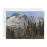 Mt Rainier Announcement