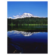 Mt. Rainier National Park Full Color Flyer