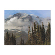 Mt Rainier Postcard